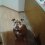 TJ1's picture